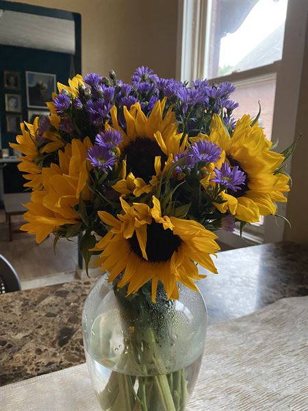 West Hartford Events