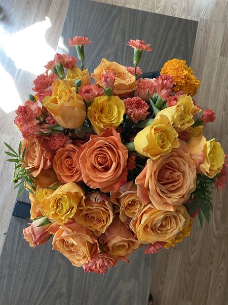 West Hartford Events