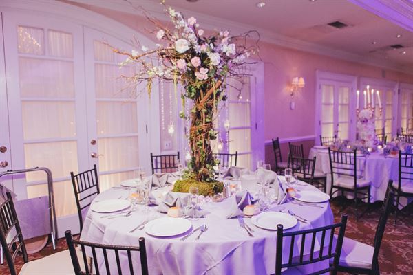 Elegantize Productions