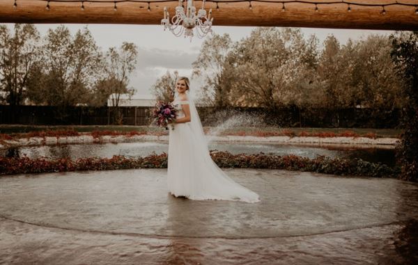 The Castle Vineyards