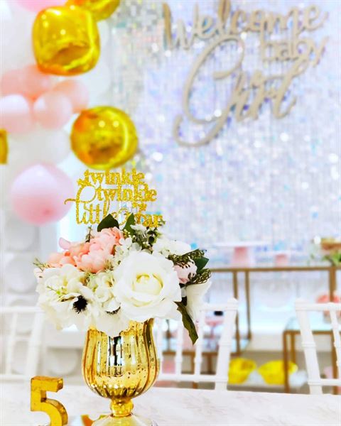 Z Party Upscale Events