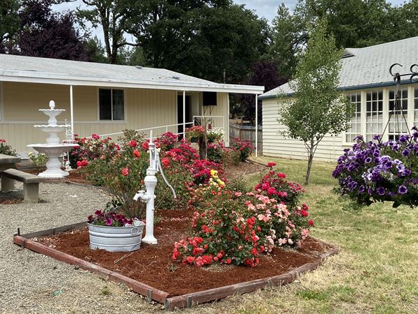 Veils and Roses Venue