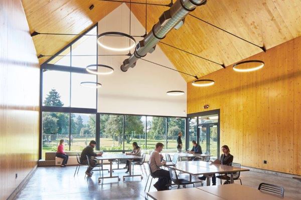 The Children's Course