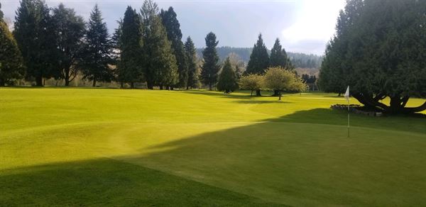 The Children's Course