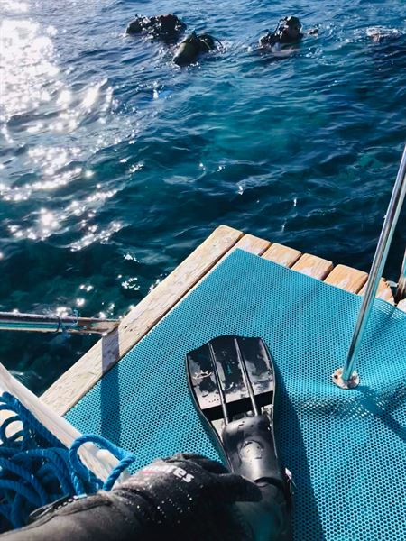 Unforgettable Pacific Ocean Tour