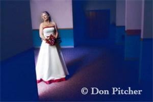 Don Pitcher Photography