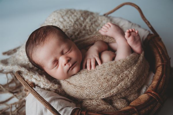 Kellys Kreations Photography