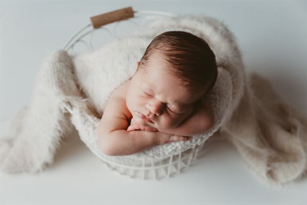 Kellys Kreations Photography