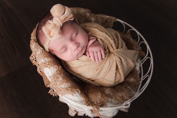 Kellys Kreations Photography