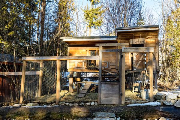 White Lake Cabins + Retreats