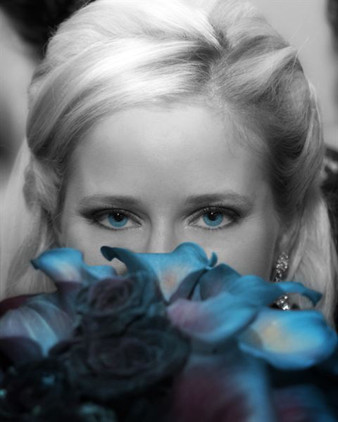 American Images Photography