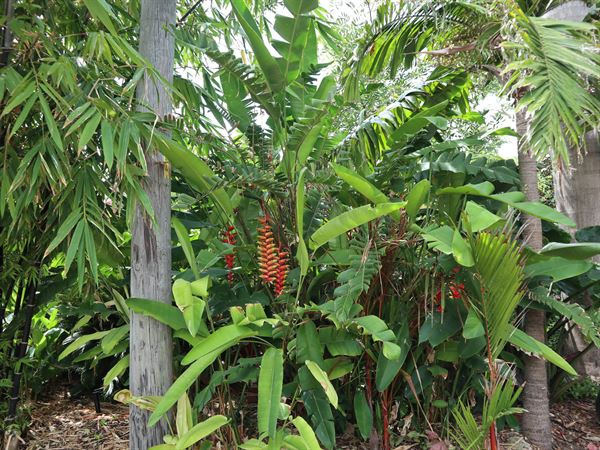 Key West Garden Club