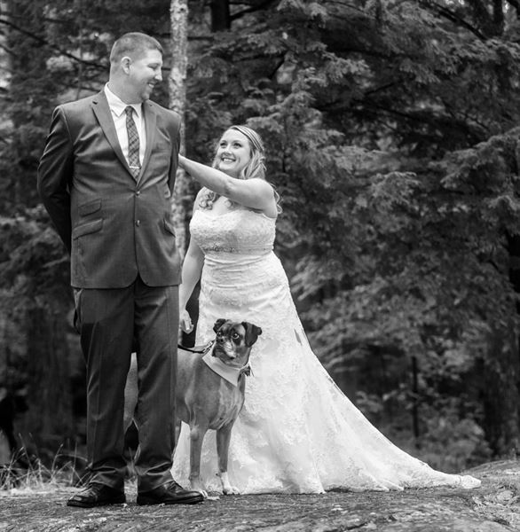 Mark Bolton Photography