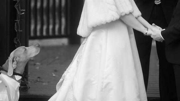 Mark Bolton Photography