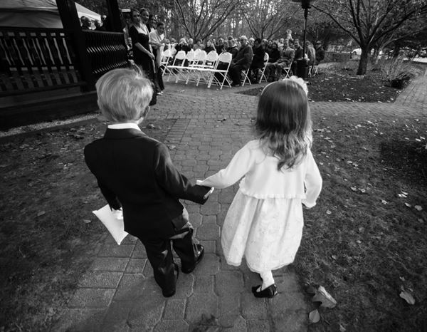 Mark Bolton Photography