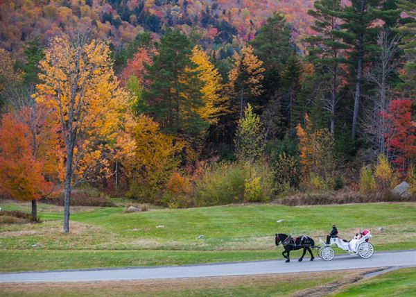 Mark Bolton Photography