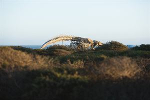 La Feliz Room & Exhibit Hall