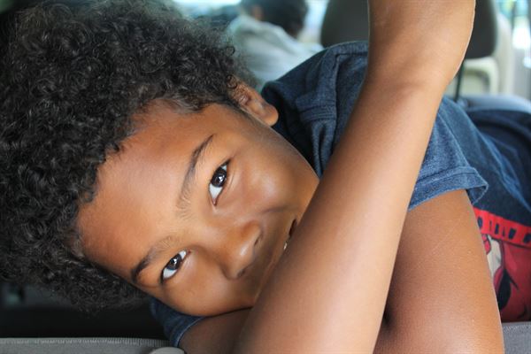 Shiny Squirrel Productions