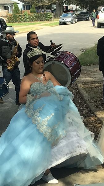 Bella rose party bus limousine services