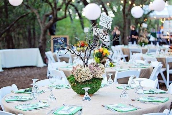 Cibolo Nature Center and Herff Farm