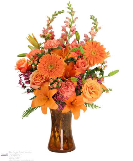 Purple Tulip Florist Inc.