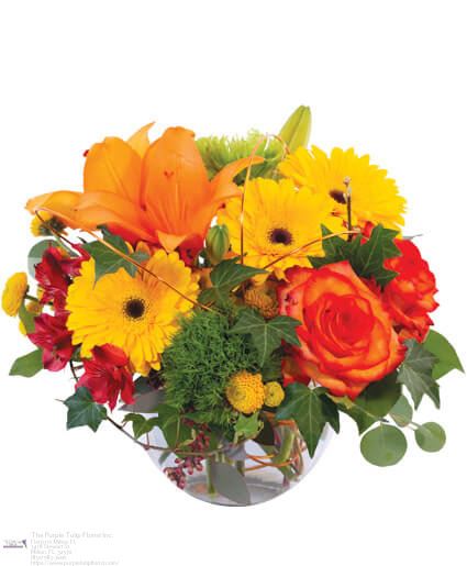 Purple Tulip Florist Inc.