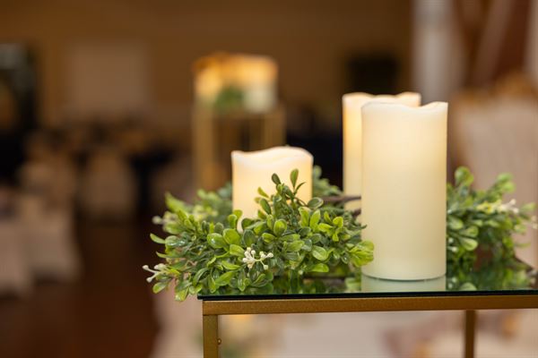 Tracey Louise Events & Design