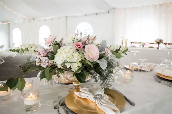 Annie Lane Events & Decor Ltd