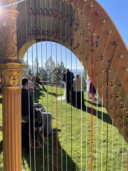 Tahoe Harpist