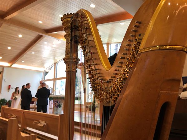 Tahoe Harpist