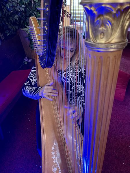 Tahoe Harpist