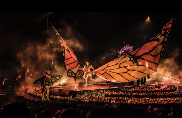 Orlando Photography Studio