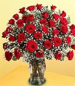 Dj's Clearwater Largo Florist