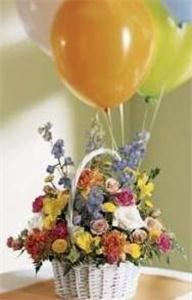 Dj's Clearwater Largo Florist