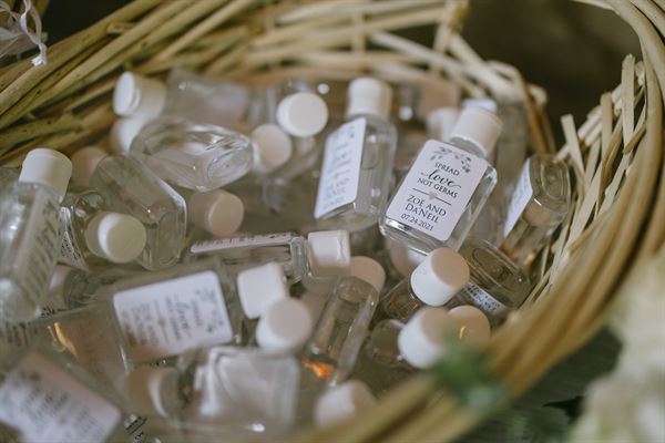 The Alexia Experience