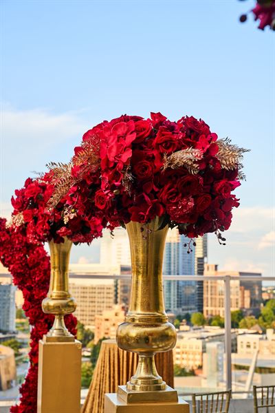 The Alexia Experience