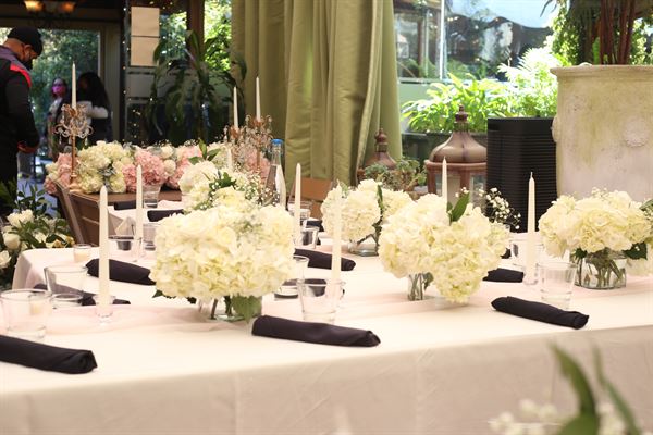 The Alexia Experience