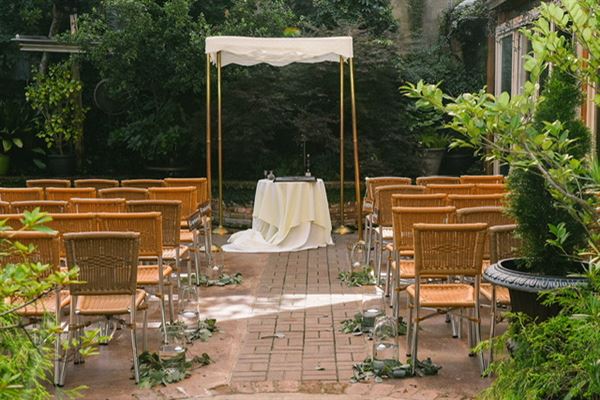 The Alexia Experience