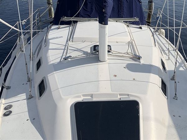 Sail Dreams Boat Charters | Sailboat trip on one of four lakes