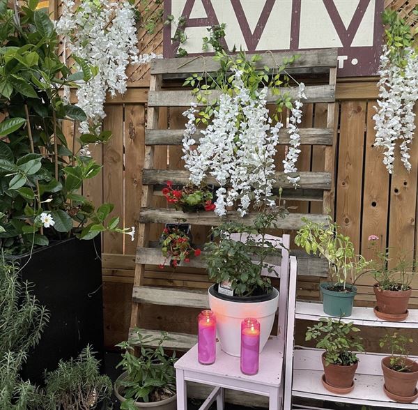 Aviv Immigrant Kitchen