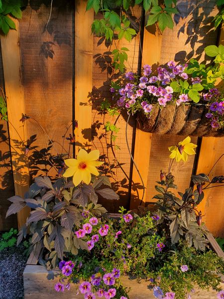 Laughing Horse Lodge