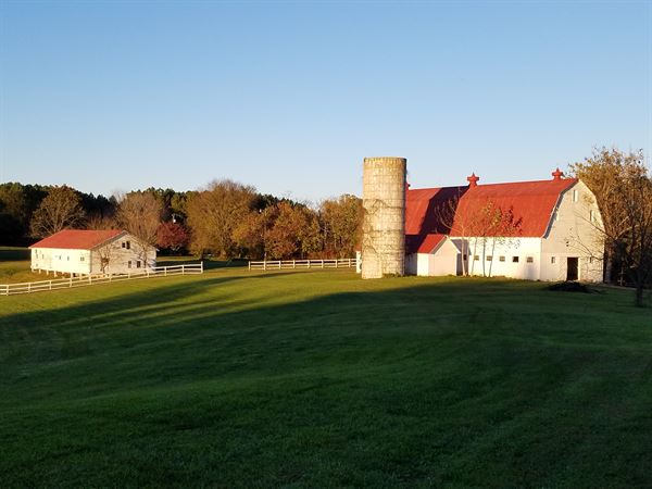 The Estate at White Hall Vineyard