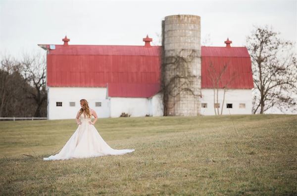 The Estate at White Hall Vineyard
