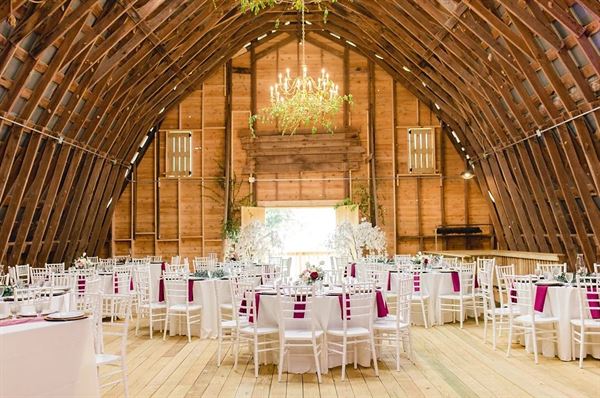 The Estate at White Hall Vineyard