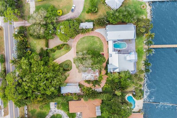 The Pineapple Estate EGAD