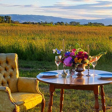 Brightside Vintage Farm