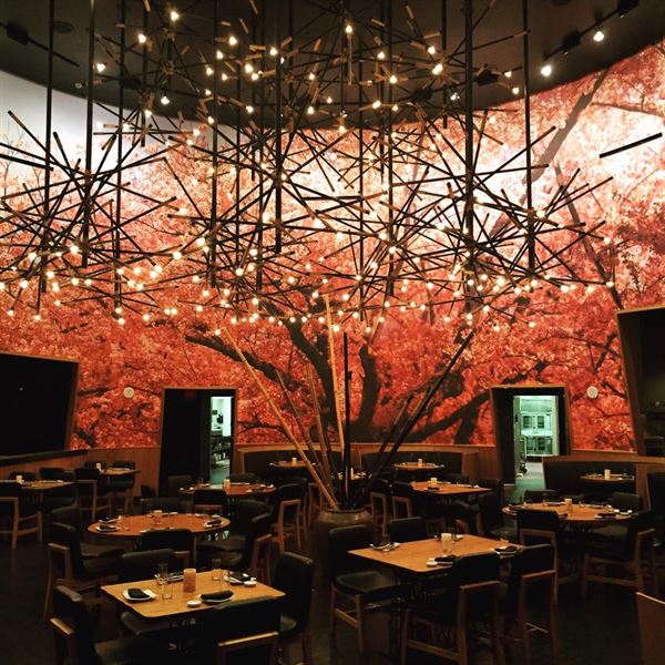 KUMI Japanese Restaurant + Bar