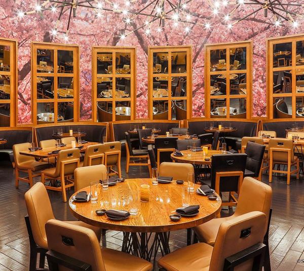 KUMI Japanese Restaurant + Bar