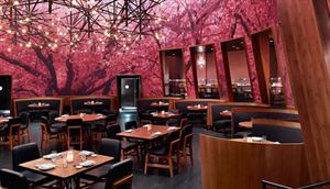 Kumi Cherry Blossom Room