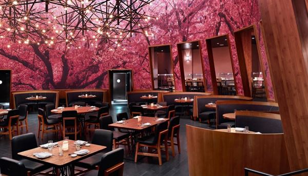 KUMI Japanese Restaurant + Bar